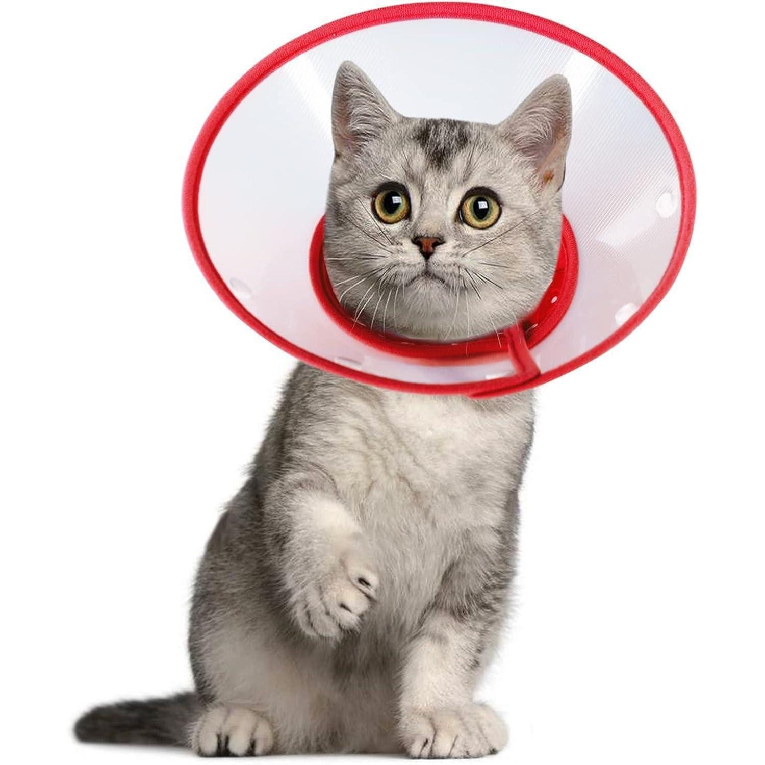 LuxusKollektion Schutzkragen Halskrause Verstellbar Schutzkragen Welpen Katzen Hunde Red-M