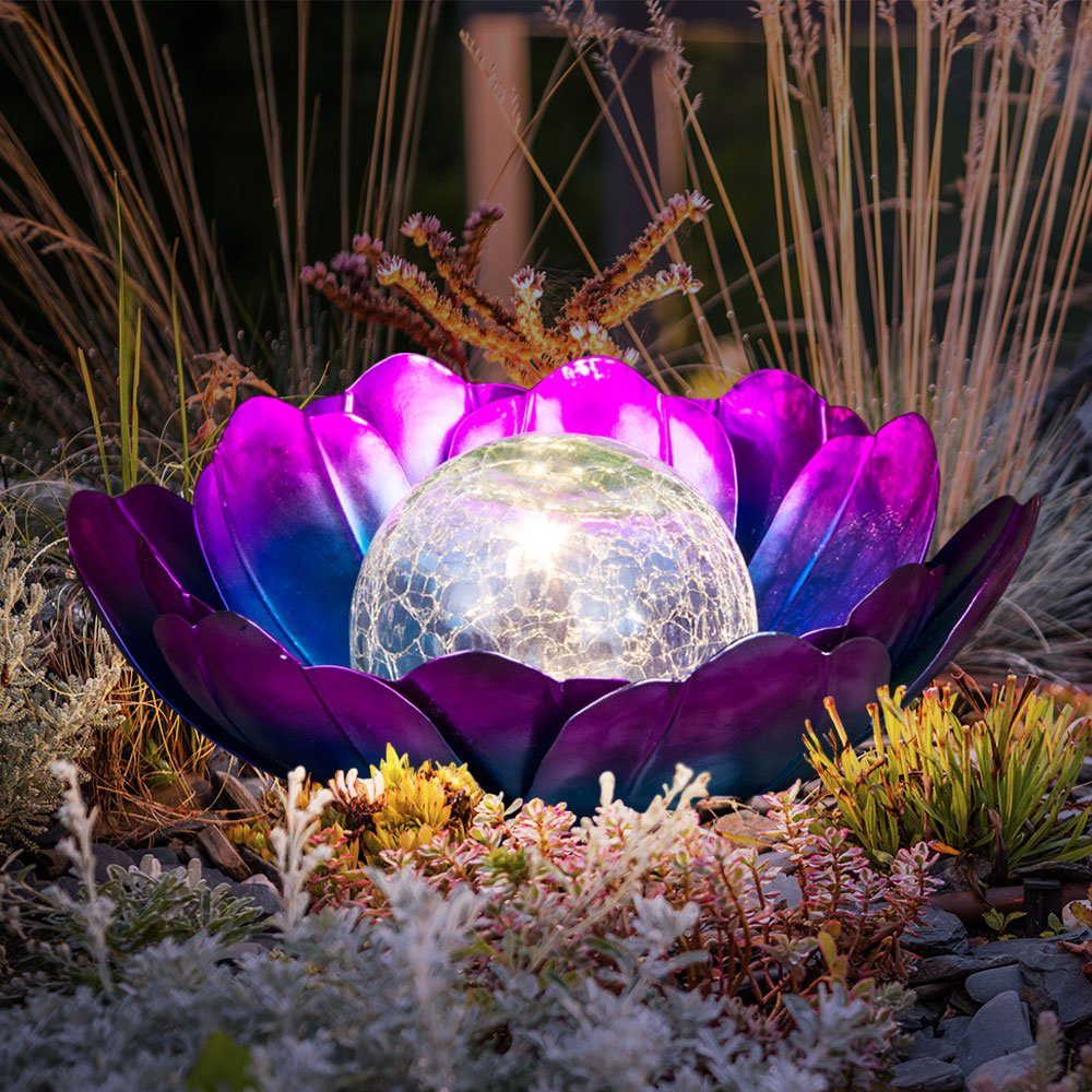 etc-shop LED Dekolicht, LED-Leuchtmittel fest verbaut, Warmweiß, Solarlampe Gartenleuchte Lotusblüte lila blau Crackle Glas wetterfest