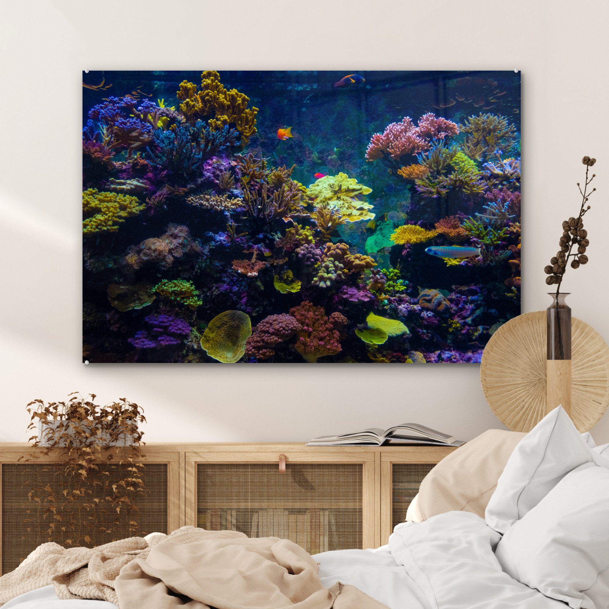 MuchoWow Acrylglasbild Koralle - Farben - St), (1 & Schlafzimmer Acrylglasbilder Fisch, Wohnzimmer
