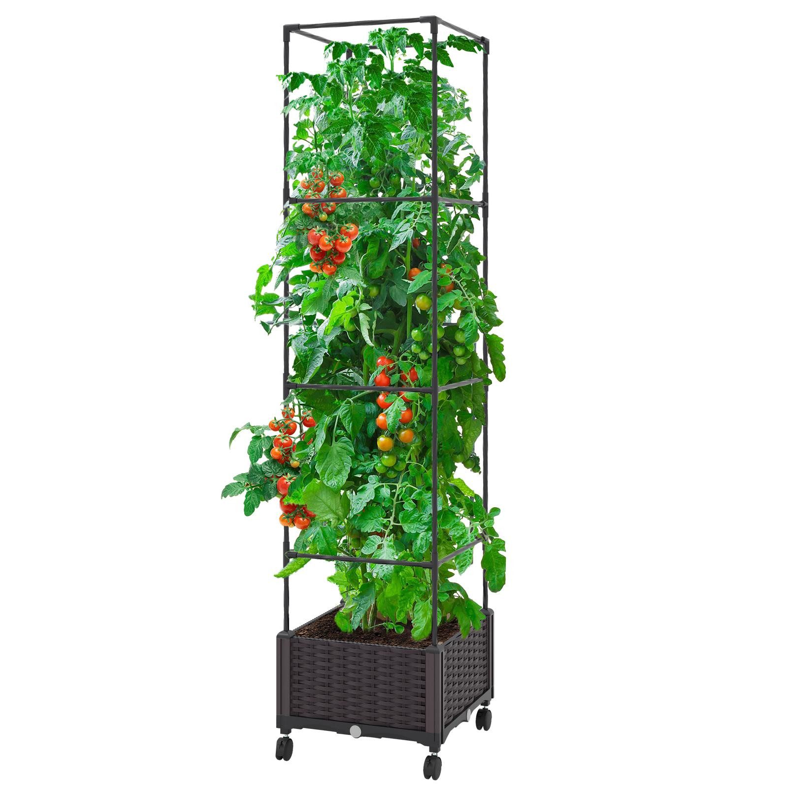 42+ Rankhilfe Mit Blumenkasten, Blumenkästen mit rankgitter im