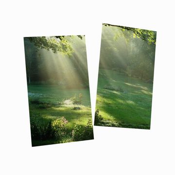 Wallario Herd-Abdeckplatte Sonnenstrahlen im Wald, ESG-Sicherheitsglas, (Glasplatte, 2 tlg., inkl. 5mm Noppen), verschiedene Größen