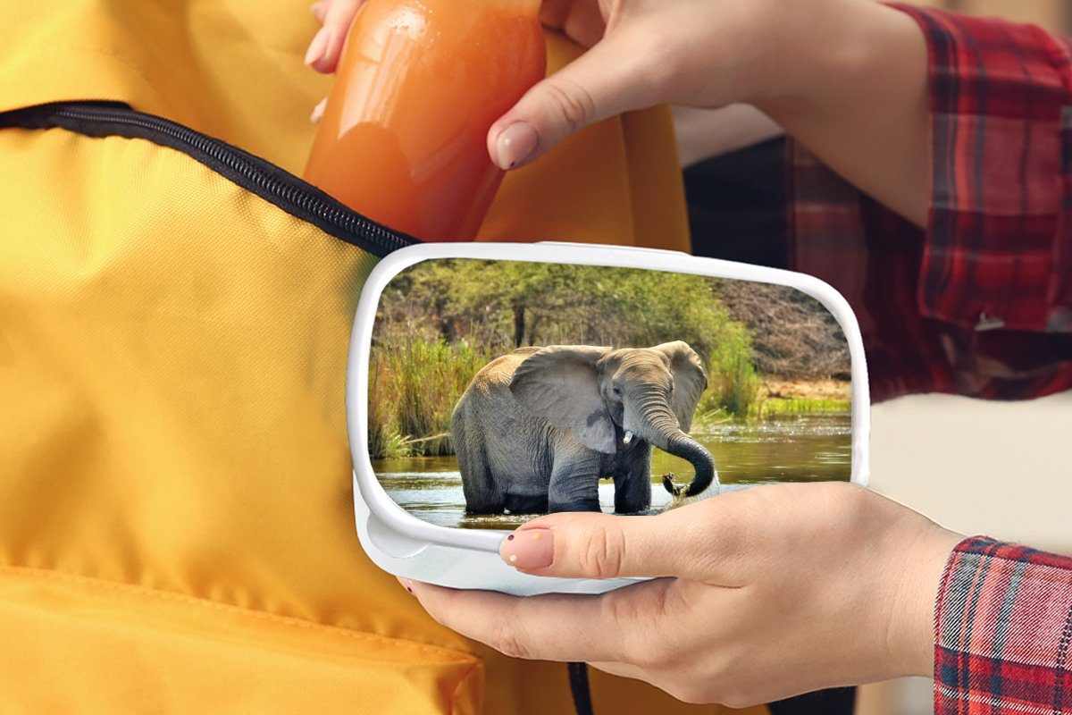 Wasser - Kunststoff, Lunchbox und Elefant Tiere weiß für MuchoWow Mädchen Brotdose, Erwachsene, (2-tlg), - Natur, Kinder Brotbox - und Jungs für