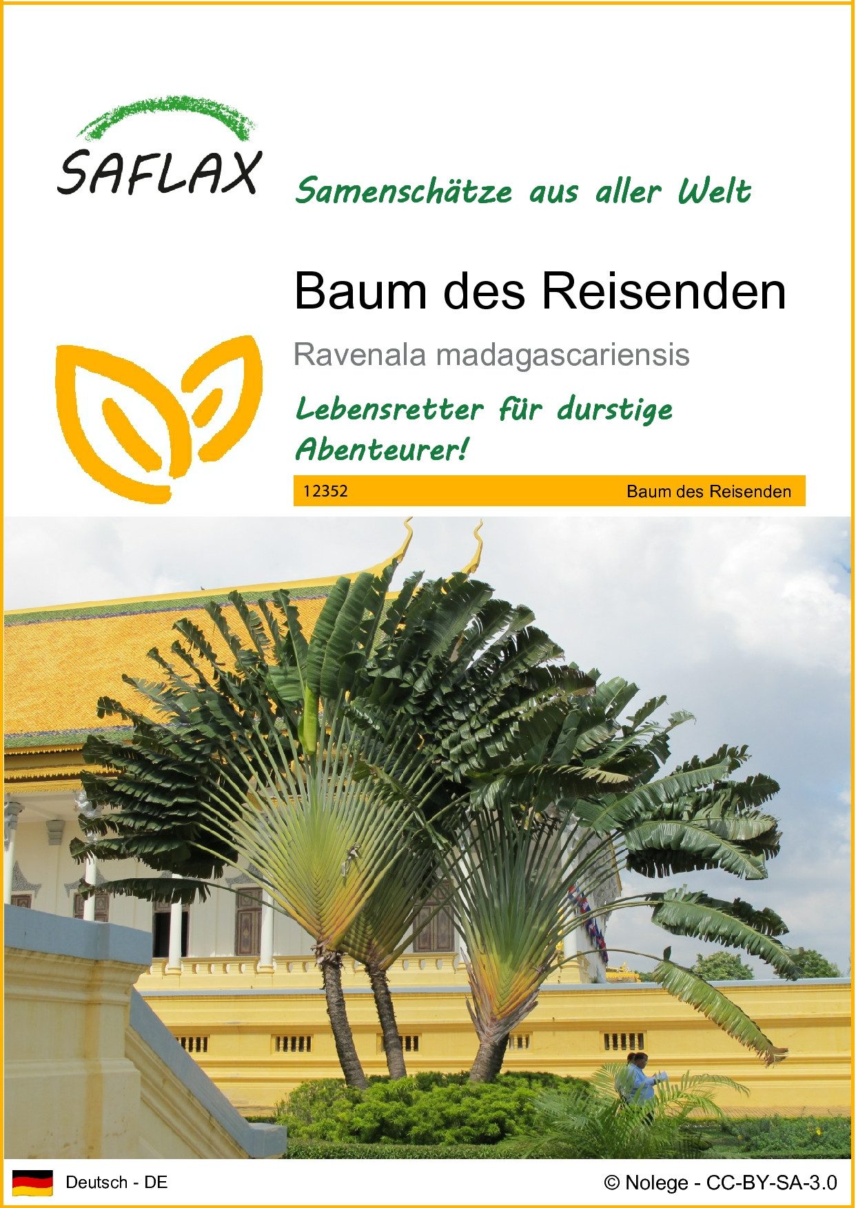 Blumensamen SAFLAX - Samen - Baum des Reisenden