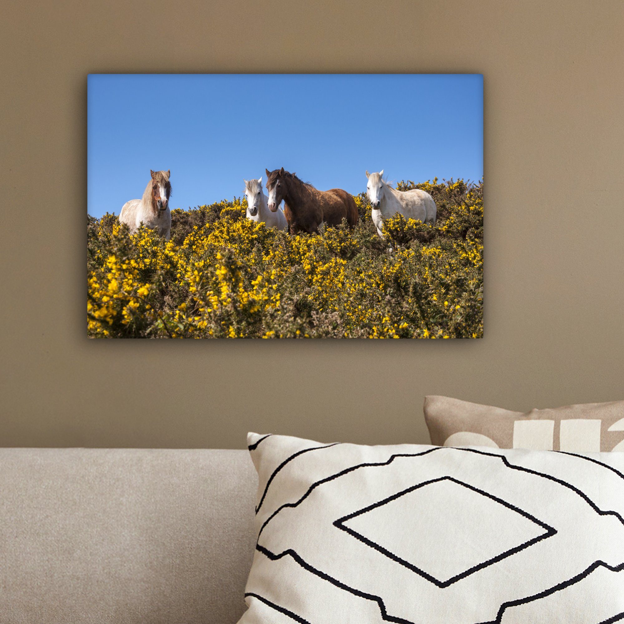 OneMillionCanvasses® Leinwandbild Walisische Ponys (1 Frühlingstag, einem Wandbild cm an Aufhängefertig, sonnigen Wanddeko, St), 30x20 Leinwandbilder