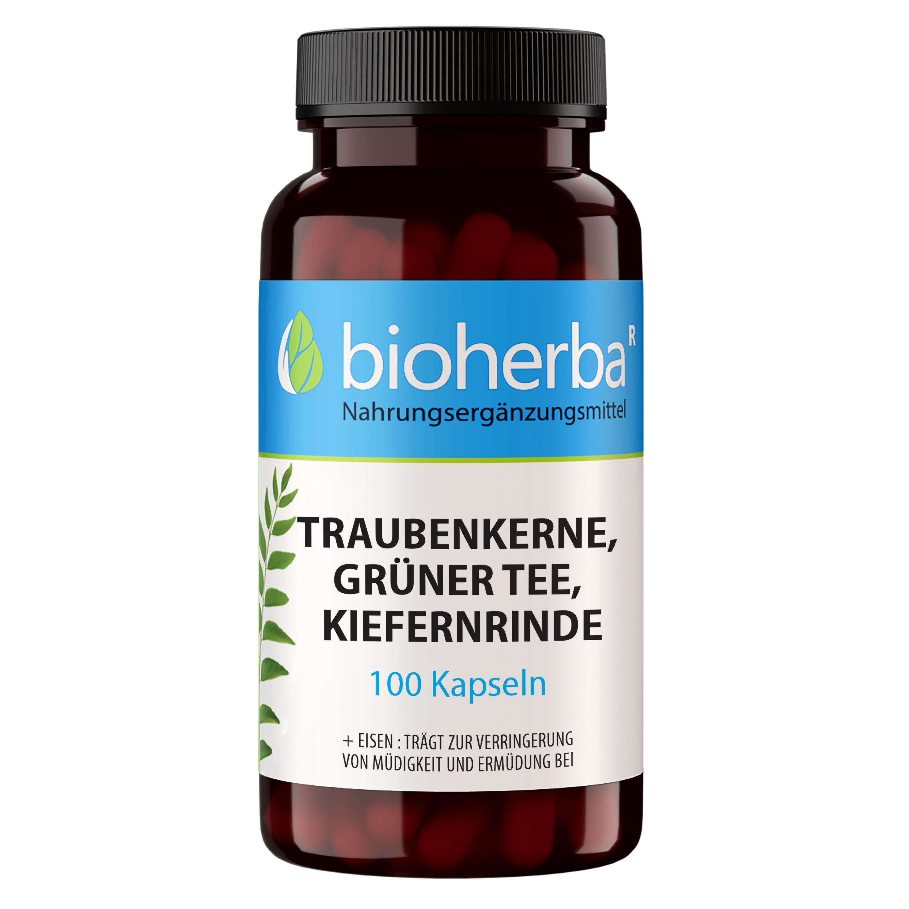 BIOHERBA R Bioherba Traubenkerne, Grüner Tee, Kiefernrinde 100 Kapseln Nahrungsergänzungsmittel, 1 er