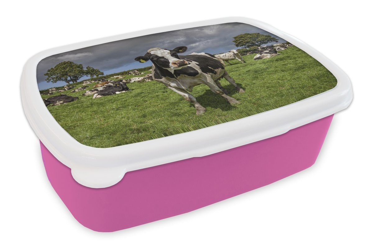 MuchoWow Lunchbox Kühe - Tiere - Friesisch, Kunststoff, (2-tlg), Brotbox für Erwachsene, Brotdose Kinder, Snackbox, Mädchen, Kunststoff rosa