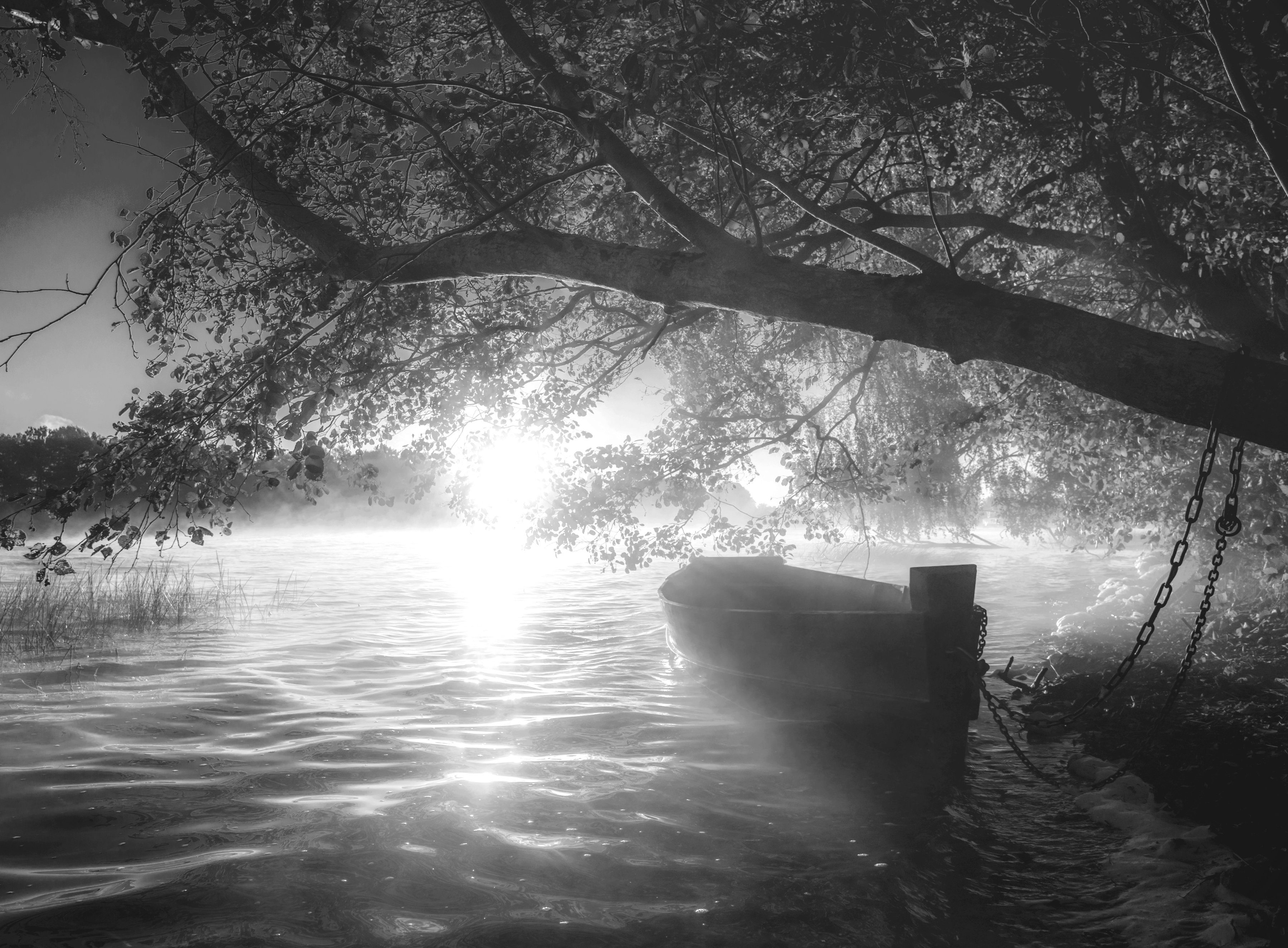 Papermoon Fototapete Boot im Wasser Schwarz & Weiß