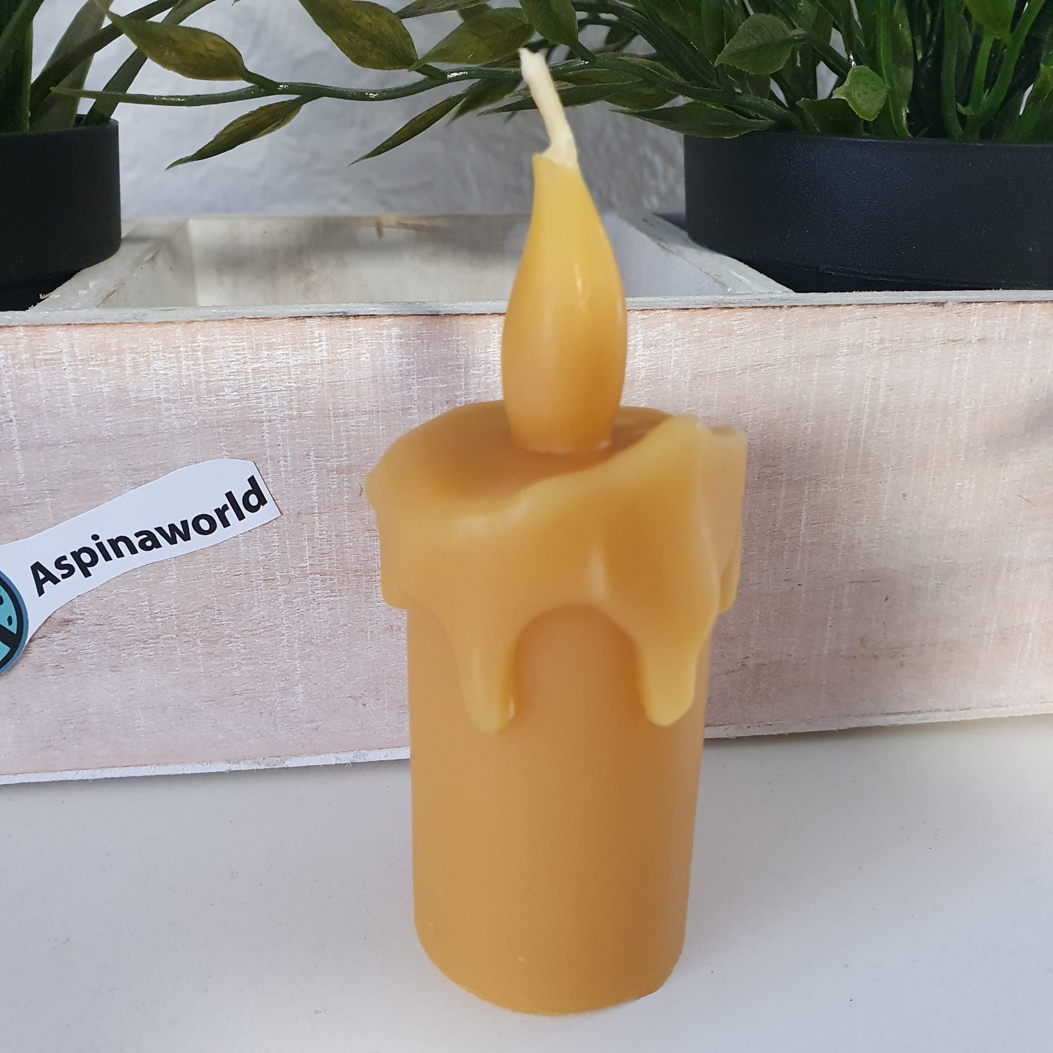 Aspinaworld Bienenwachskerze Schmelzende Kerze mit Flamme 10 cm – Kerze aus Bienenwachs