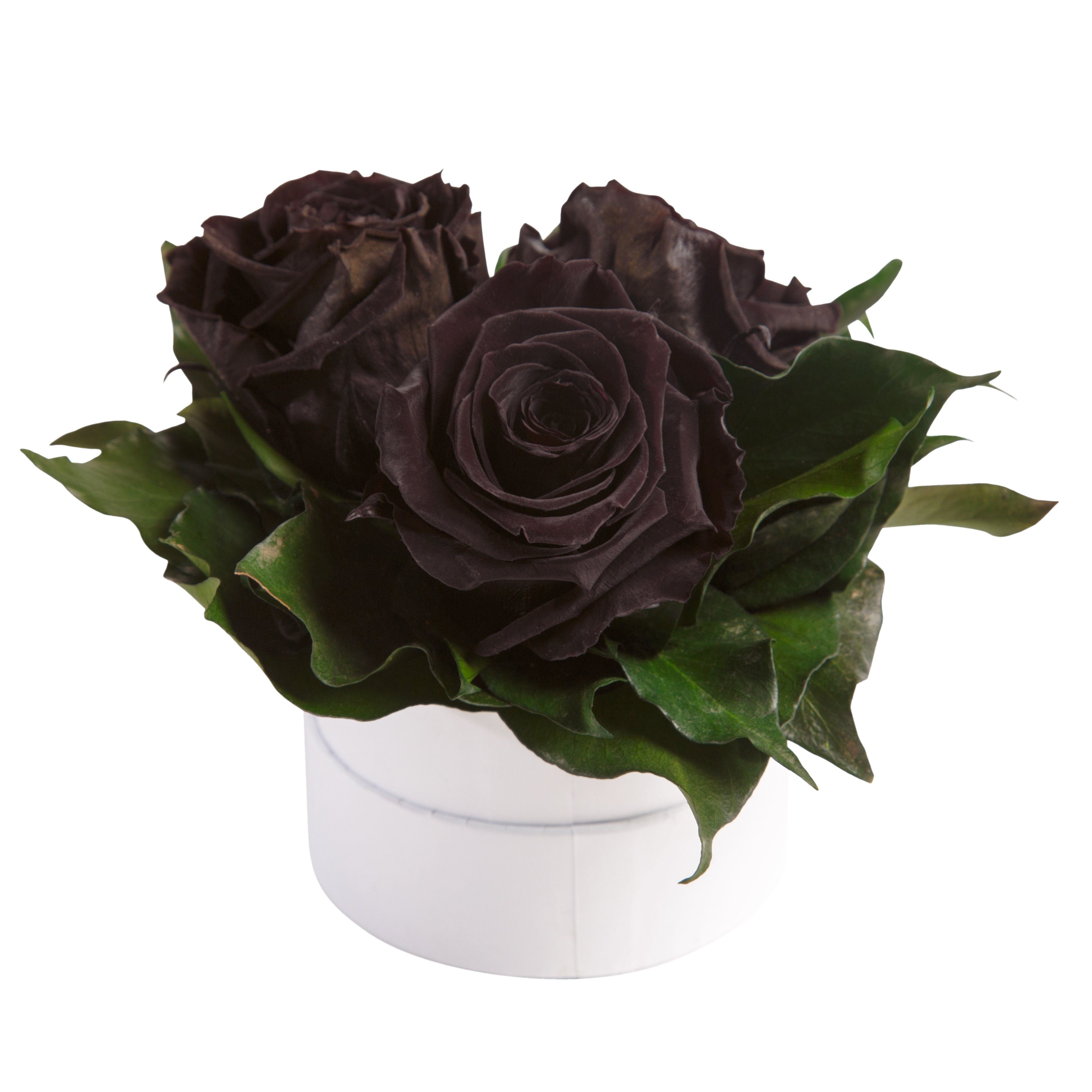 Kunstblume Rosenbox weiß rund 3 echte Infinity Rosen konserviert Rose, ROSEMARIE SCHULZ Heidelberg, Höhe 10 cm, Geschenk für Sie Rosen, Made in Germany