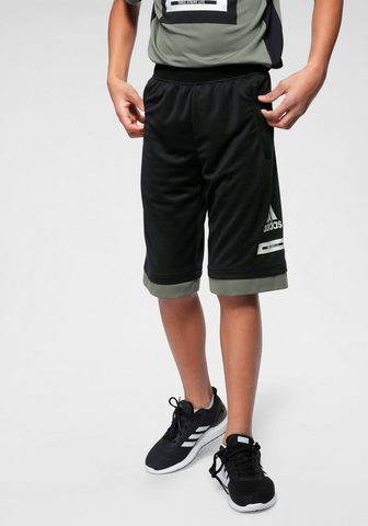 ADIDAS PERFORMANCE Шорты »JB TR BOLD SH«