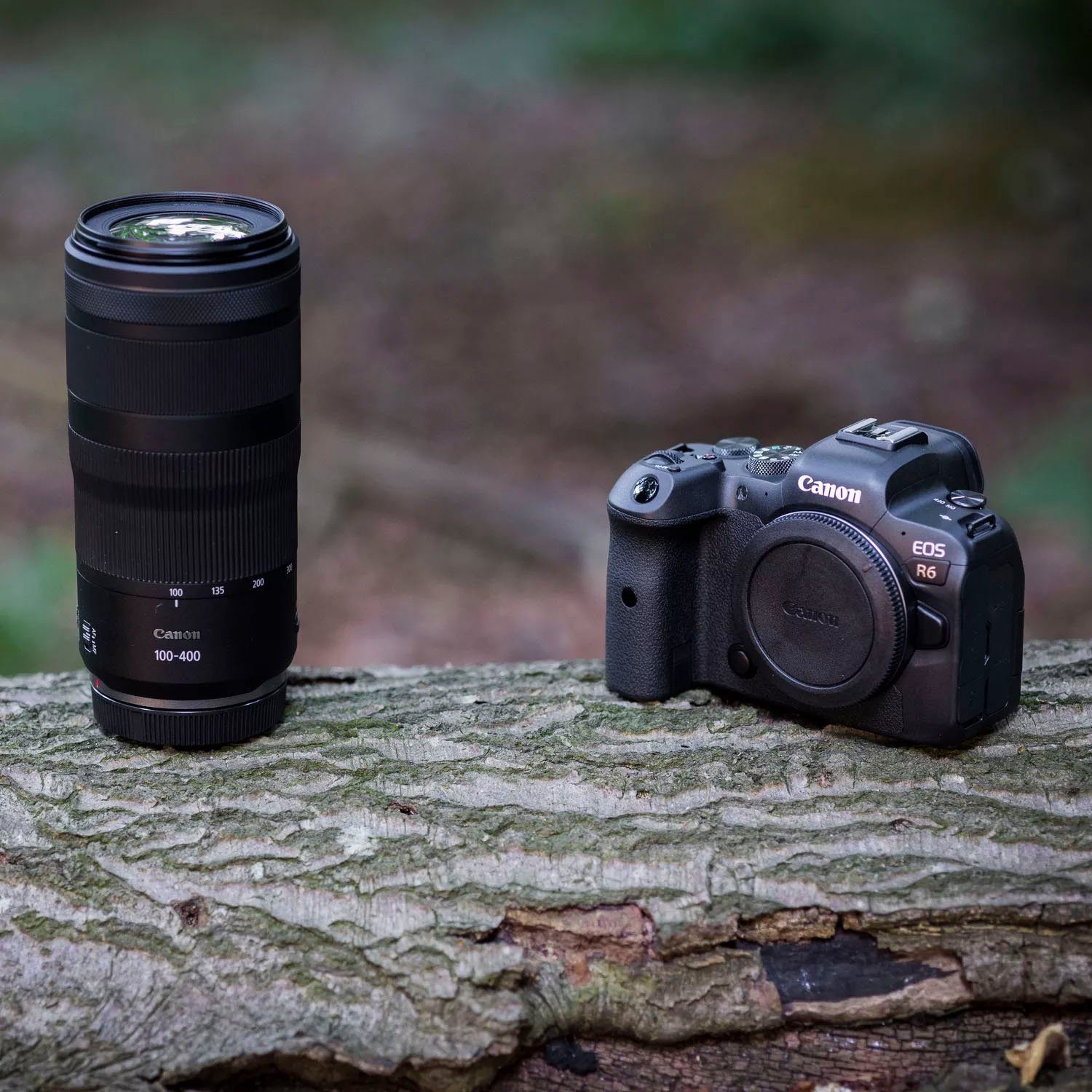 Canon RF 100-400mm F5.6-8 IS USM Objektiv, (Passend für Canon EOS R System Kameras (z.B. EOS RP, R8)