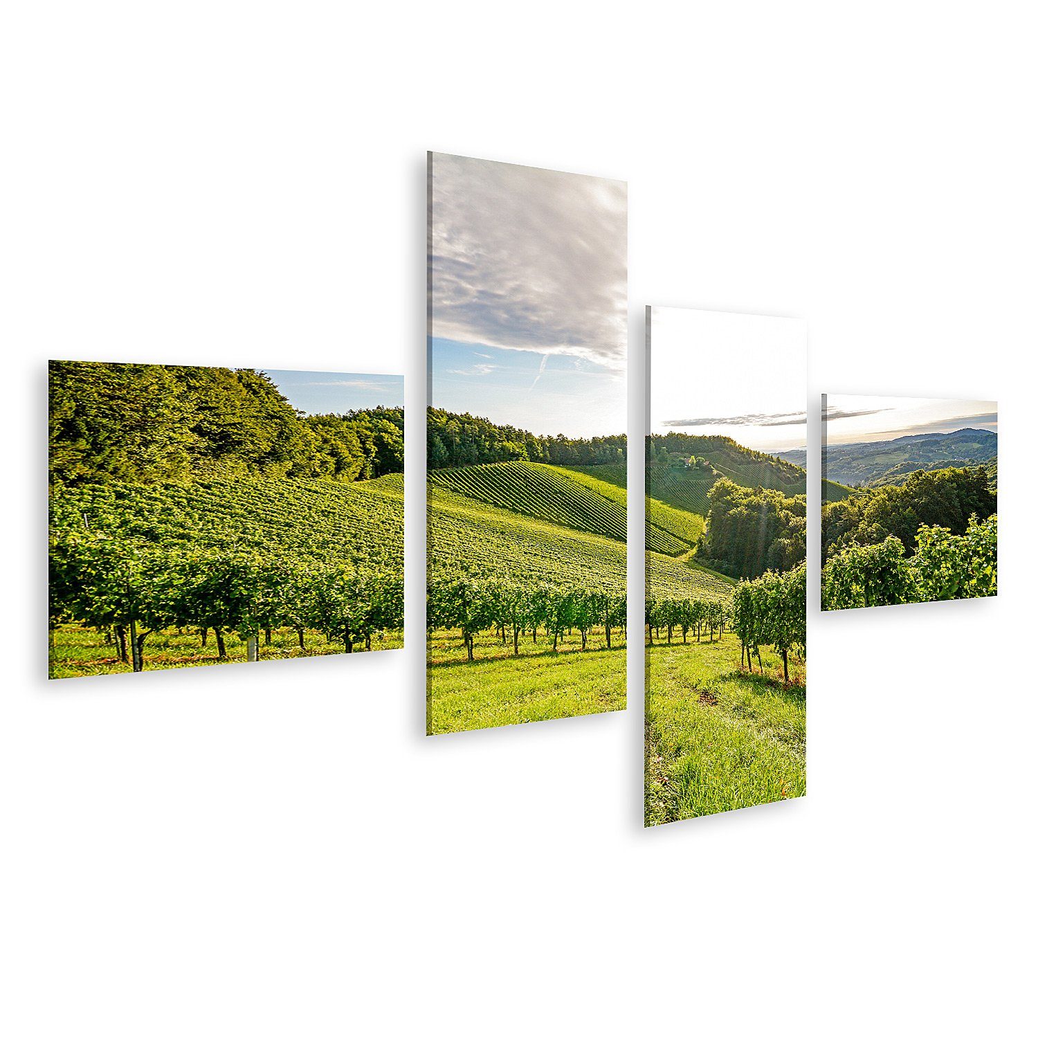 Leinwandbild Bild auf Leinwand Reben Weinberg Herbst Weintrauben Ernte Europa Wandb