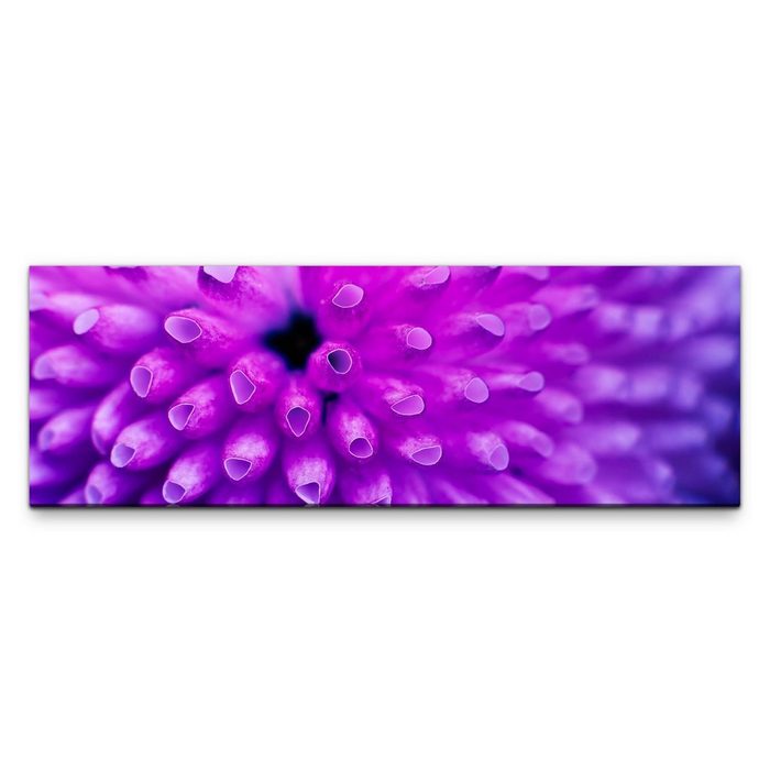 möbel-direkt.de Leinwandbild Bilder XXL Blütenstand lila Nahaufnahme Wandbild auf Leinwand