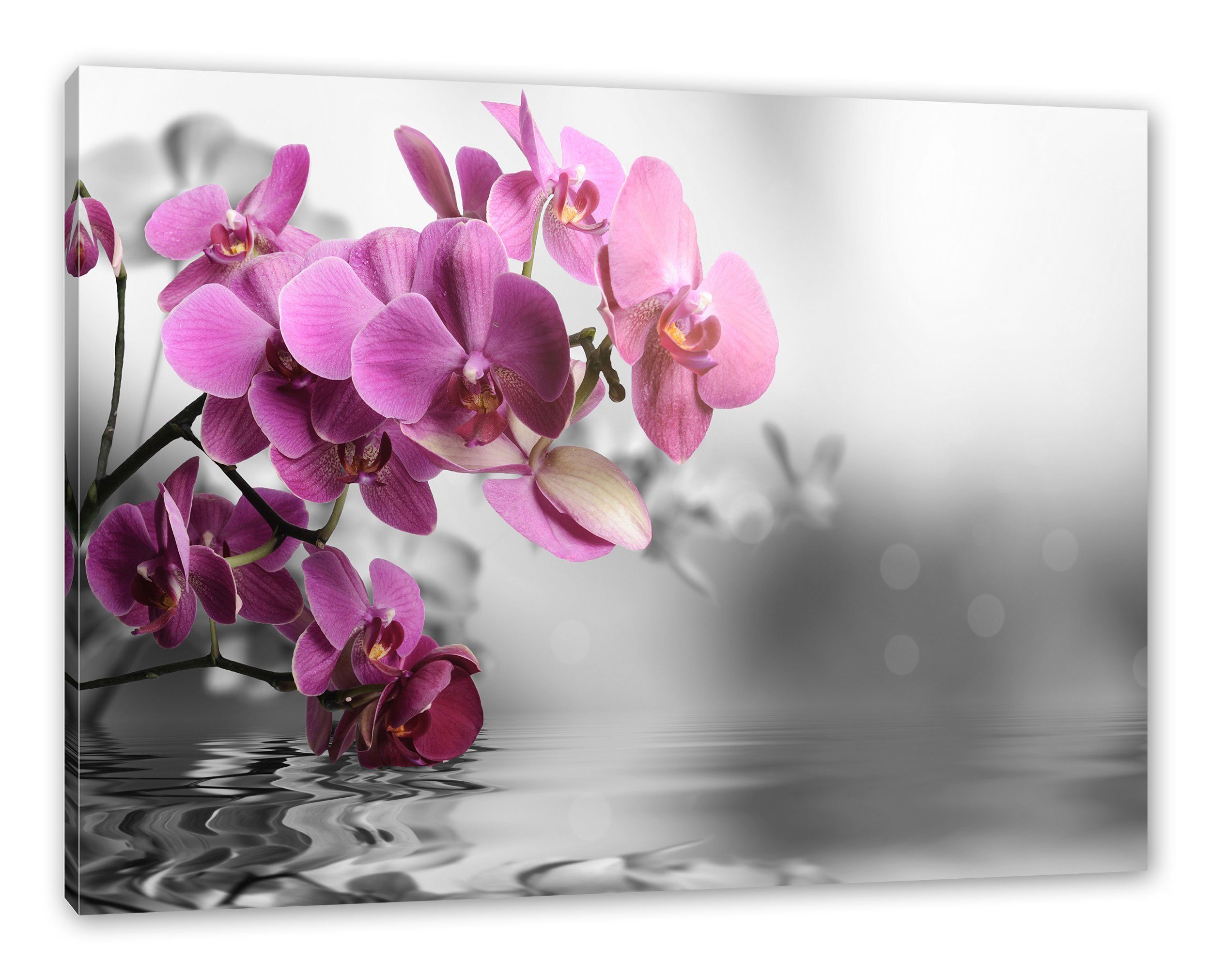 Leinwandbild Orchideenblüten St), Orchideenblüten über Wasser inkl. bespannt, (1 Zackenaufhänger Pixxprint Leinwandbild fertig über Wasser,