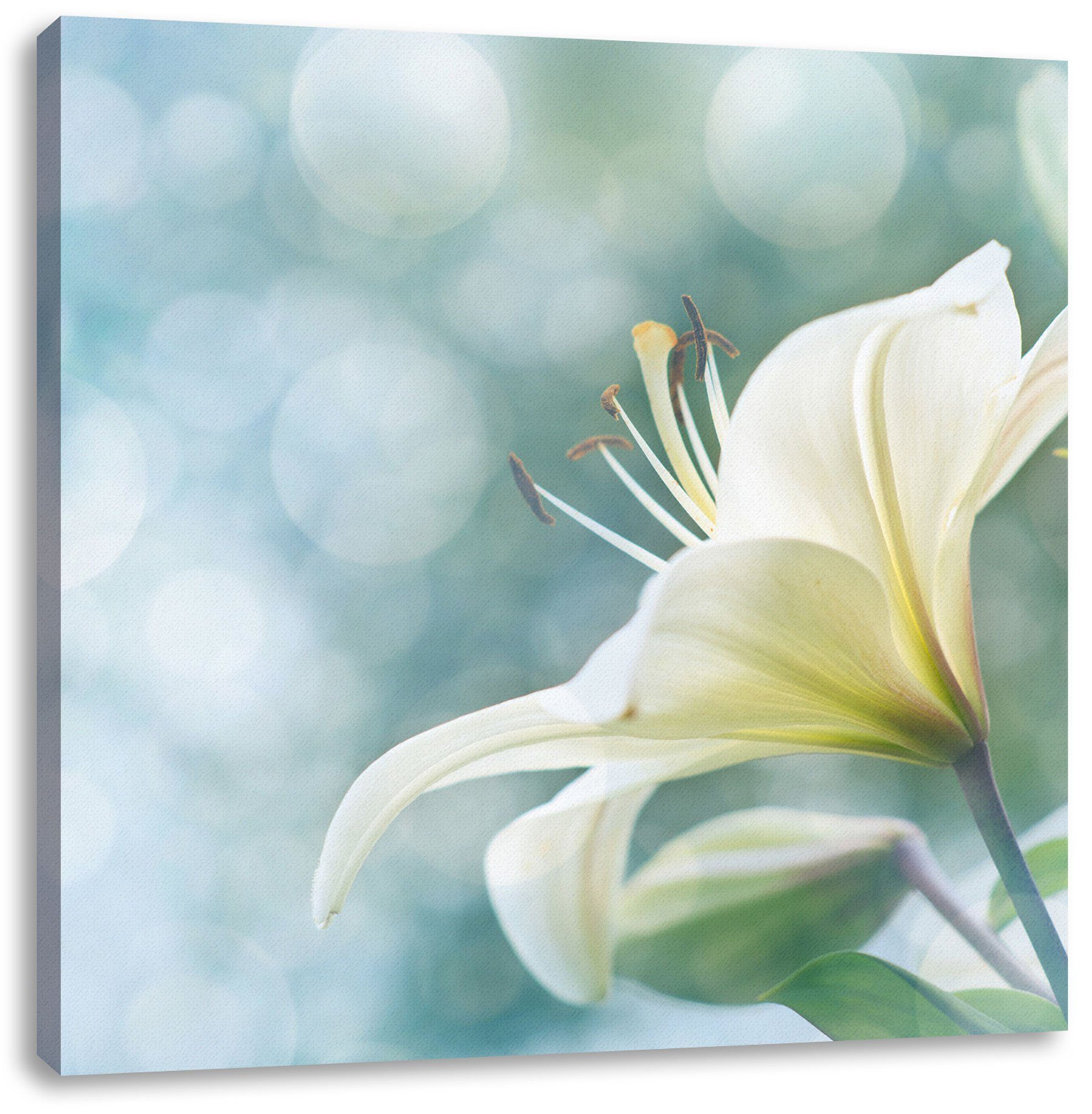 Pixxprint Leinwandbild Wunderschöne Lilien, Wunderschöne Lilien (1 St), Leinwandbild fertig bespannt, inkl. Zackenaufhänger