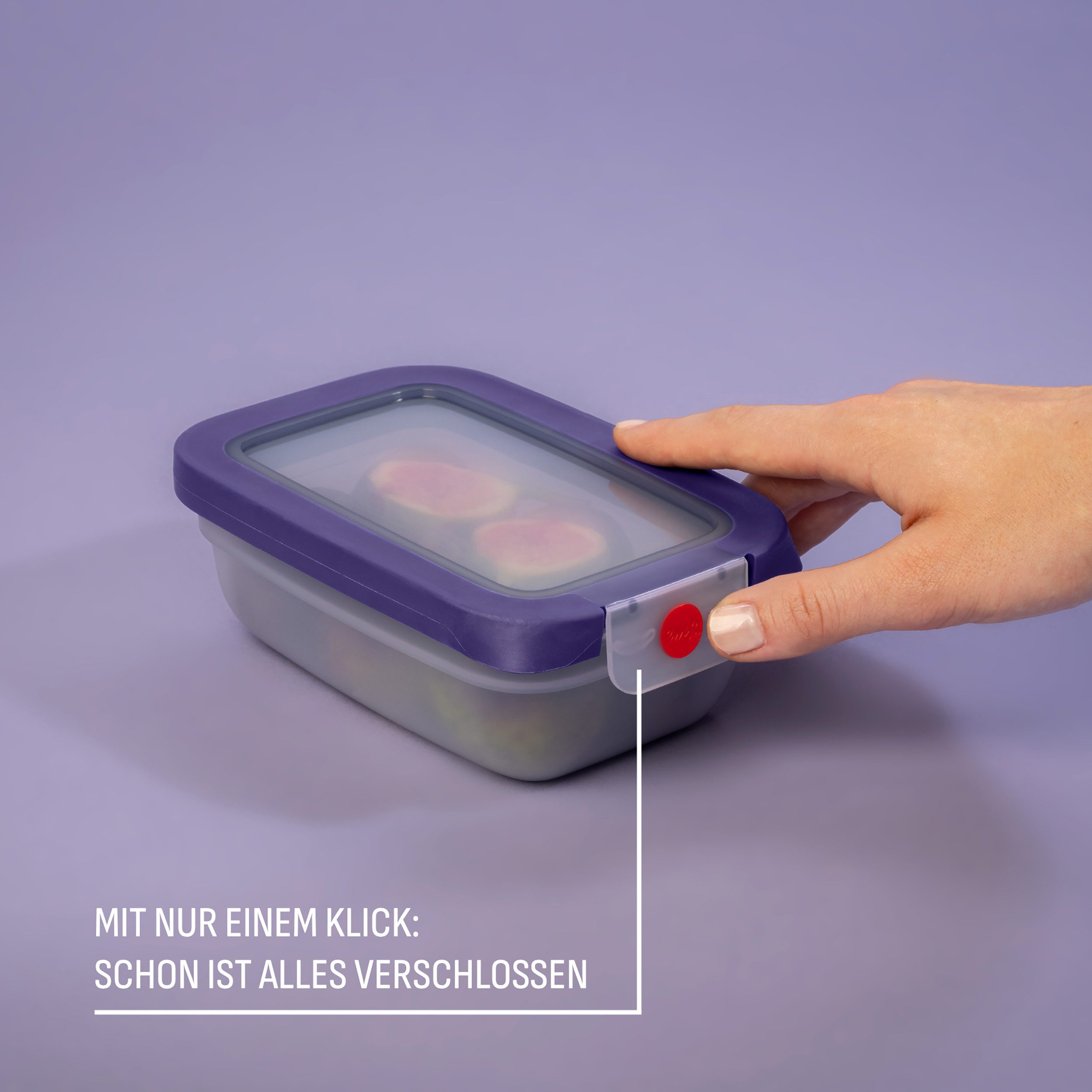 Emsa Frischhaltedose oneClick, Polyprophylen (PP), (1-tlg), verschlossen mit nur 1 x Klick, 100% dicht, made in Germany