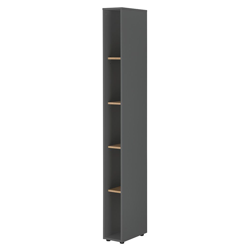Lomadox Regal CRISP-61, in anthrazit mit Wotan Eiche, ca. 20/200/40 cm