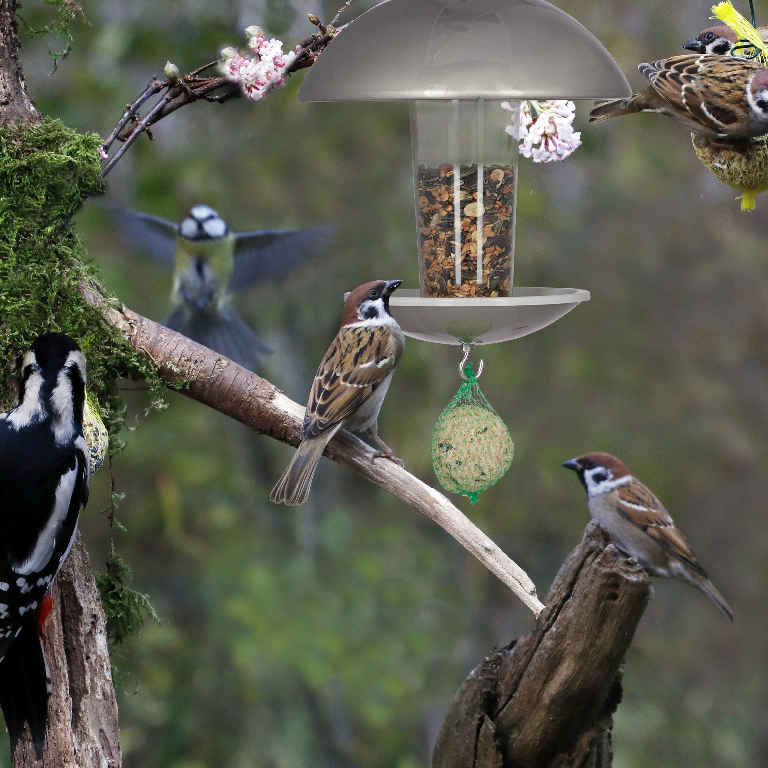 relaxdays Vogelhaus Vogelfutterspender mit Stab