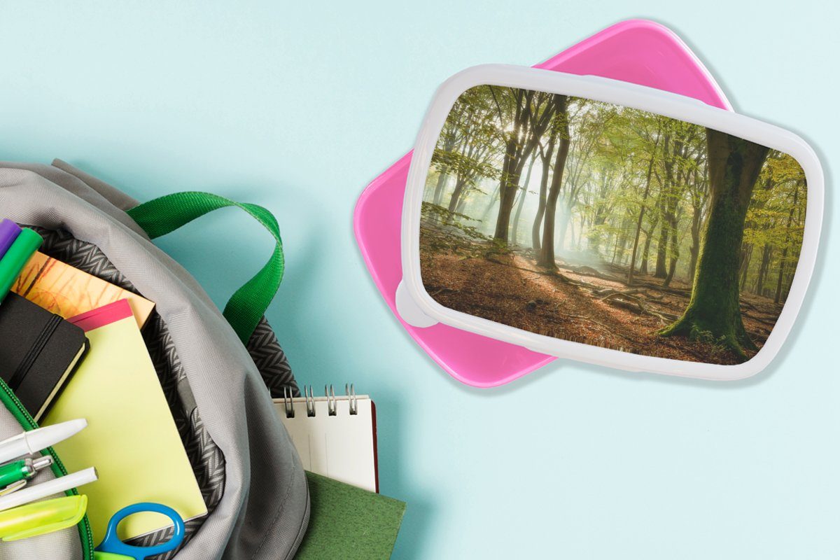 Wald (2-tlg), Kunststoff, Erwachsene, für Kinder, Snackbox, MuchoWow Brotdose Sonne Landschaft, rosa - Mädchen, - - Jahreszeiten Lunchbox Kunststoff Brotbox