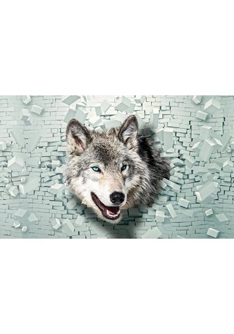 CONSALNET Фотообои »Wolf kommt из der Wand...