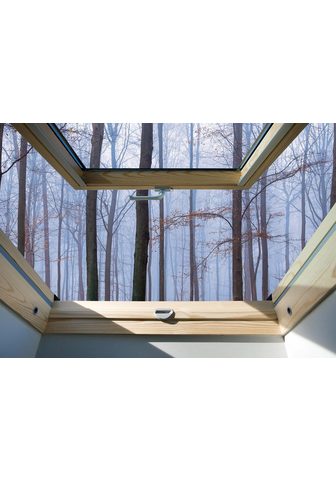 CONSALNET Фотообои »Nebel Wald Fensterblic...