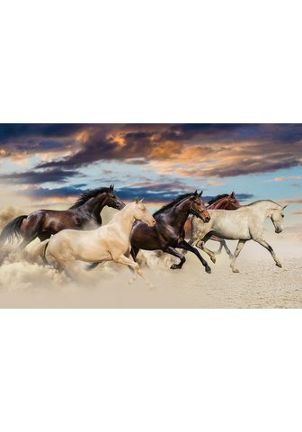 CONSALNET Фотообои »Galoppierende Pferde&l...