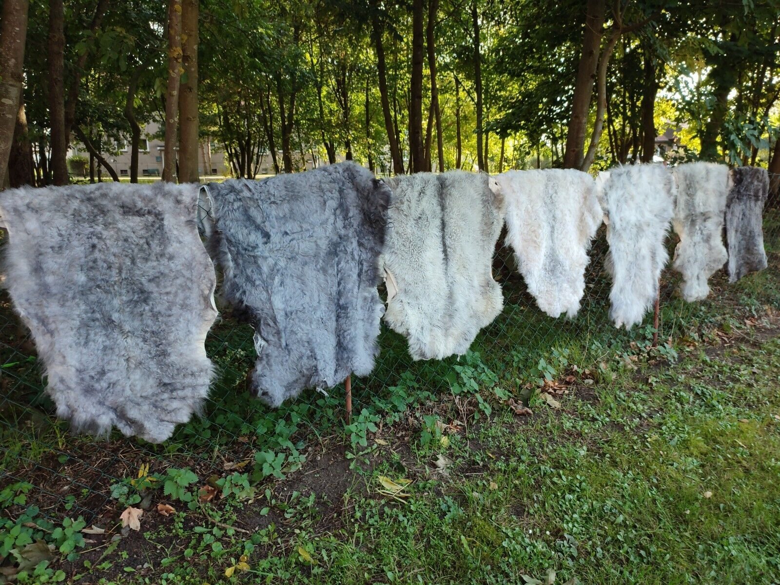 Provellus Fellteppich Echte Nordschnucken Schaffelle Grau Natur 2.Wahl Verschiedene Größen, 30x30cm rund