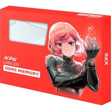 ADATA DIMM 64 GB DDR5-6000 (2x 32 GB) Dual-Kit Arbeitsspeicher