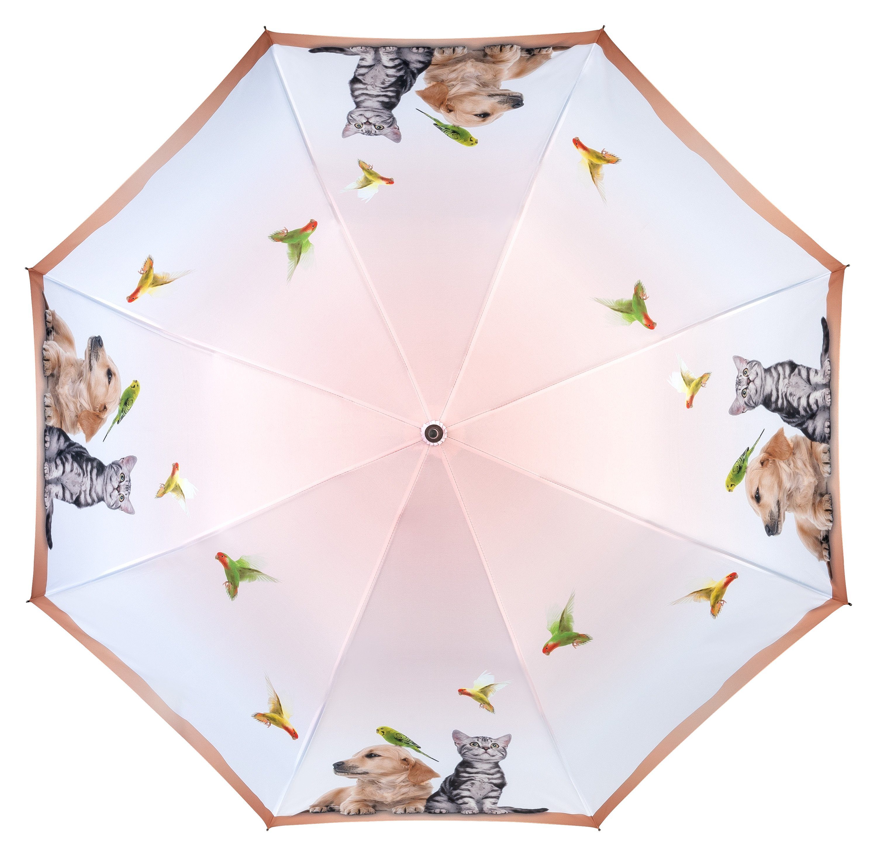 Kinderschirm, Kätzchen Motivschirm Lilienfeld Stockregenschirm Auf-Automatik von Katzentrio Tiermotiv