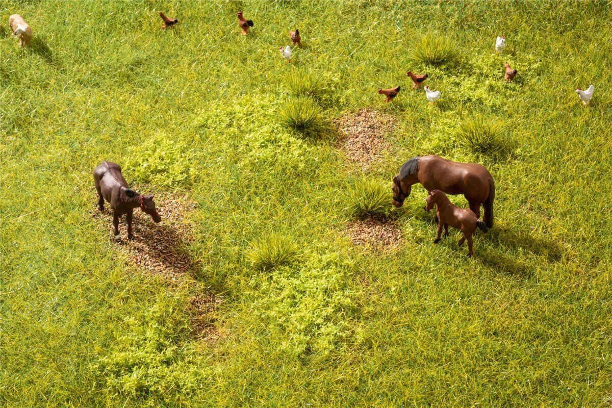 NOCH Modelleisenbahn-Spielunterlage Noch 60771 Vegetations-Startset "Wiese