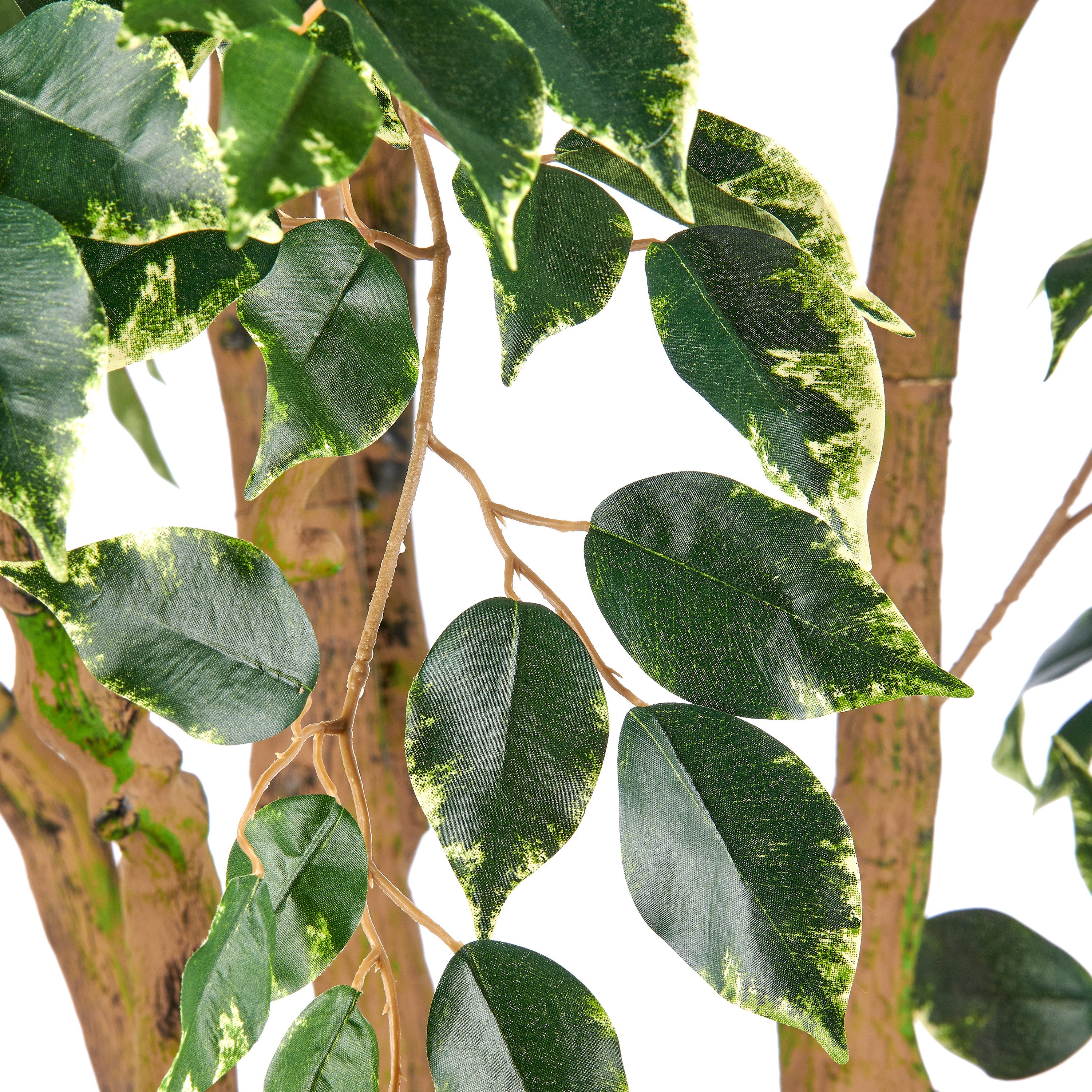 Kunstbaum Ficus benjamina, Creativ green, Höhe 210 cm, in beeindruckender Größe
