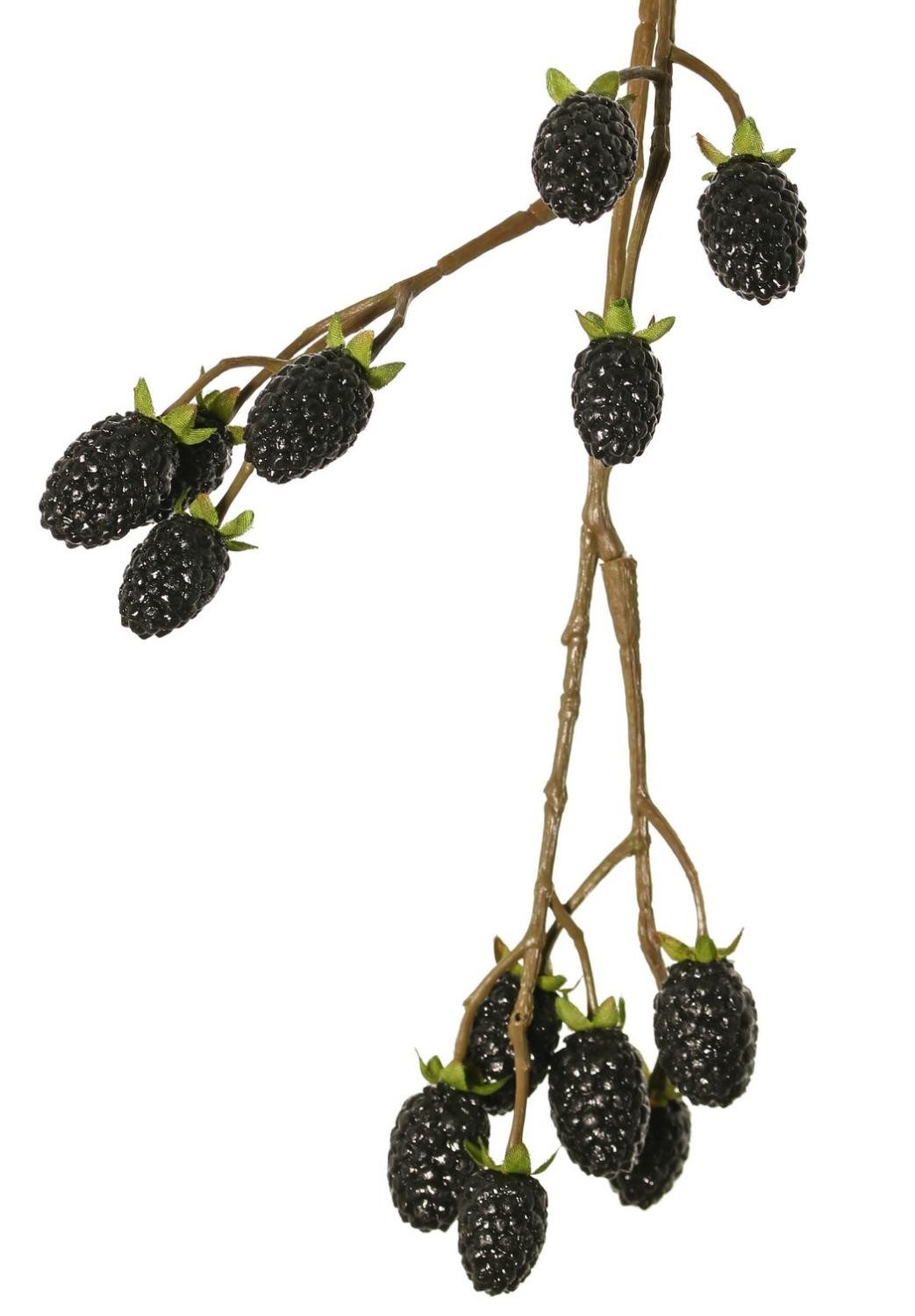 Kunstzweig Künstlicher Zweig Brombeere URUMA mit Früchten, schwarz, 100cm Brombeere, artplants, Höhe 100.0 cm