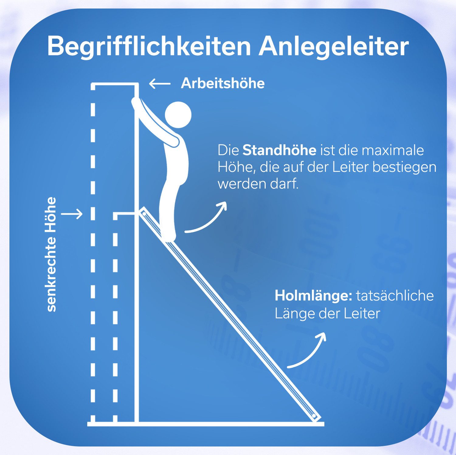 Weise Steigtechnik Anlegeleiter Maxximuss, Industrie-Qualität (11 Stufen, bis 250 kg belastbar), trittsichere Stufen, Anlegeleiter für Regale, rutschfeste Gummifüße