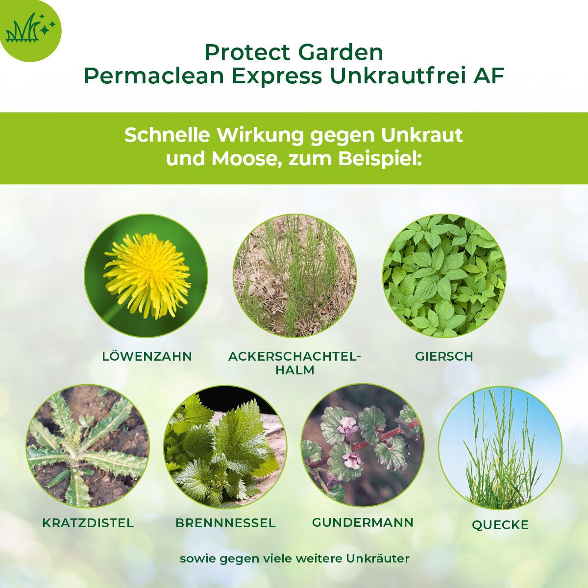 Protect Garden Unkrautbekämpfungsmittel Permaclean Express Unkrautfrei AF, 1 Liter, 1000 ml