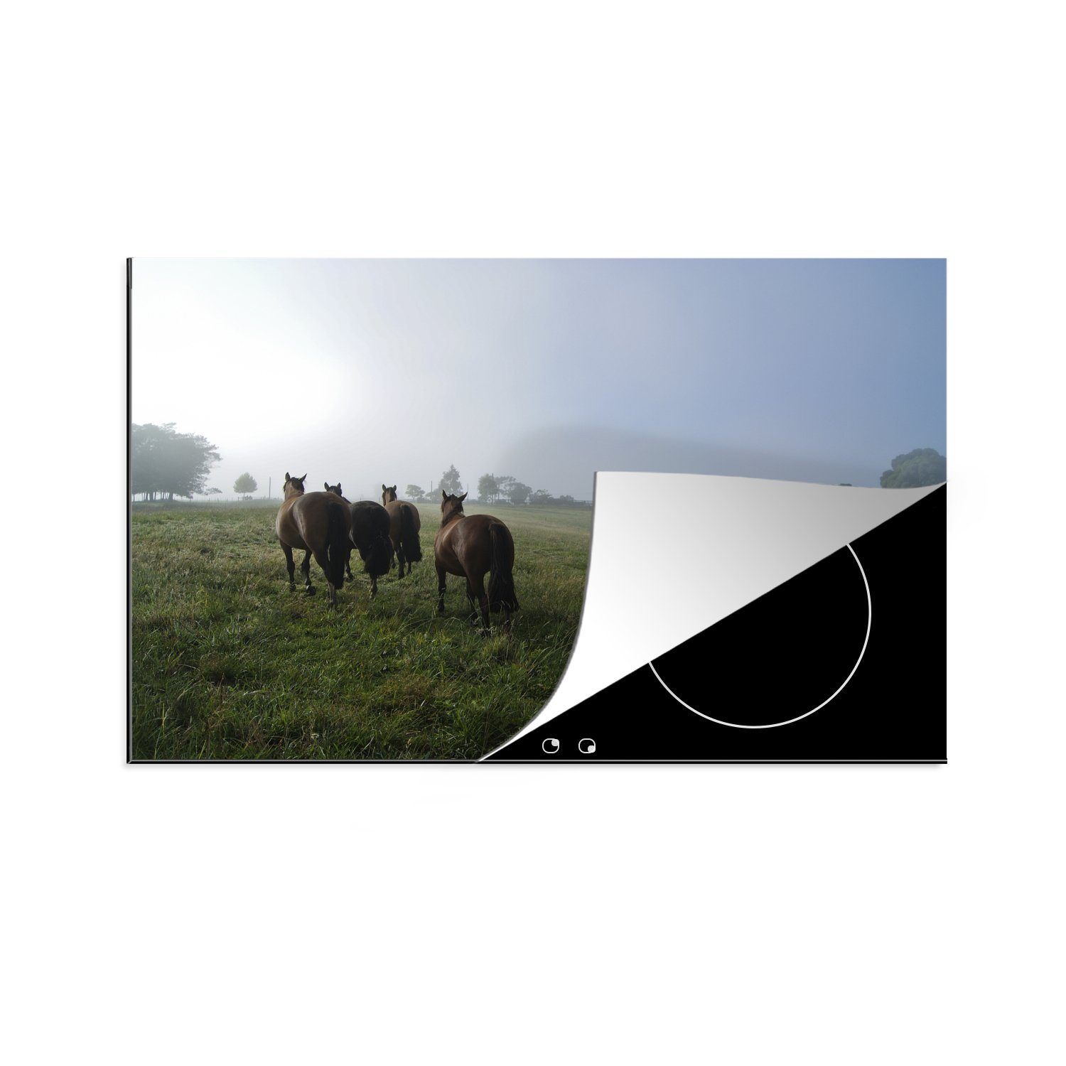 MuchoWow Herdblende-/Abdeckplatte Pferde - Criollo - Gras, Vinyl, (1 tlg), 81x52 cm, Induktionskochfeld Schutz für die küche, Ceranfeldabdeckung