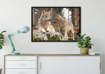 Pixxprint Leinwandbild Wölfe im Wald, Wanddekoration (1 St), Leinwandbild fertig bespannt, in einem Schattenfugen-Bilderrahmen gefasst, inkl. Zackenaufhänger