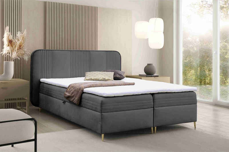 Furnix Boxspringbett Alisom 120/140/160/180x200 mit Bettkasten & Topper Auswahl Farbe/Größe, Довжина 208, Höhe 114 cm, Breite Wahl plus je 30 cm