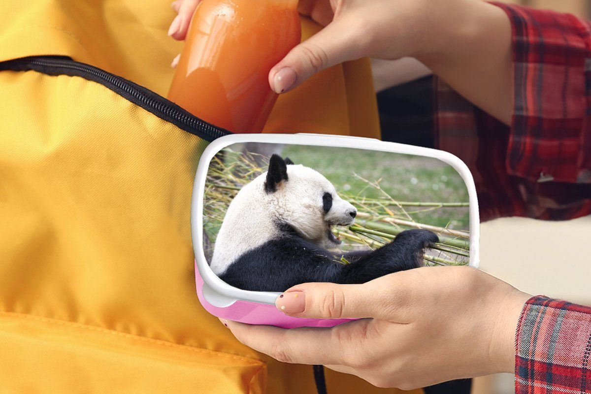 MuchoWow Lunchbox Pandabär - Tiere (2-tlg), Snackbox, Kinder, Brotbox Kunststoff, für Brotdose Bambus, Mädchen, Erwachsene, rosa - Kunststoff
