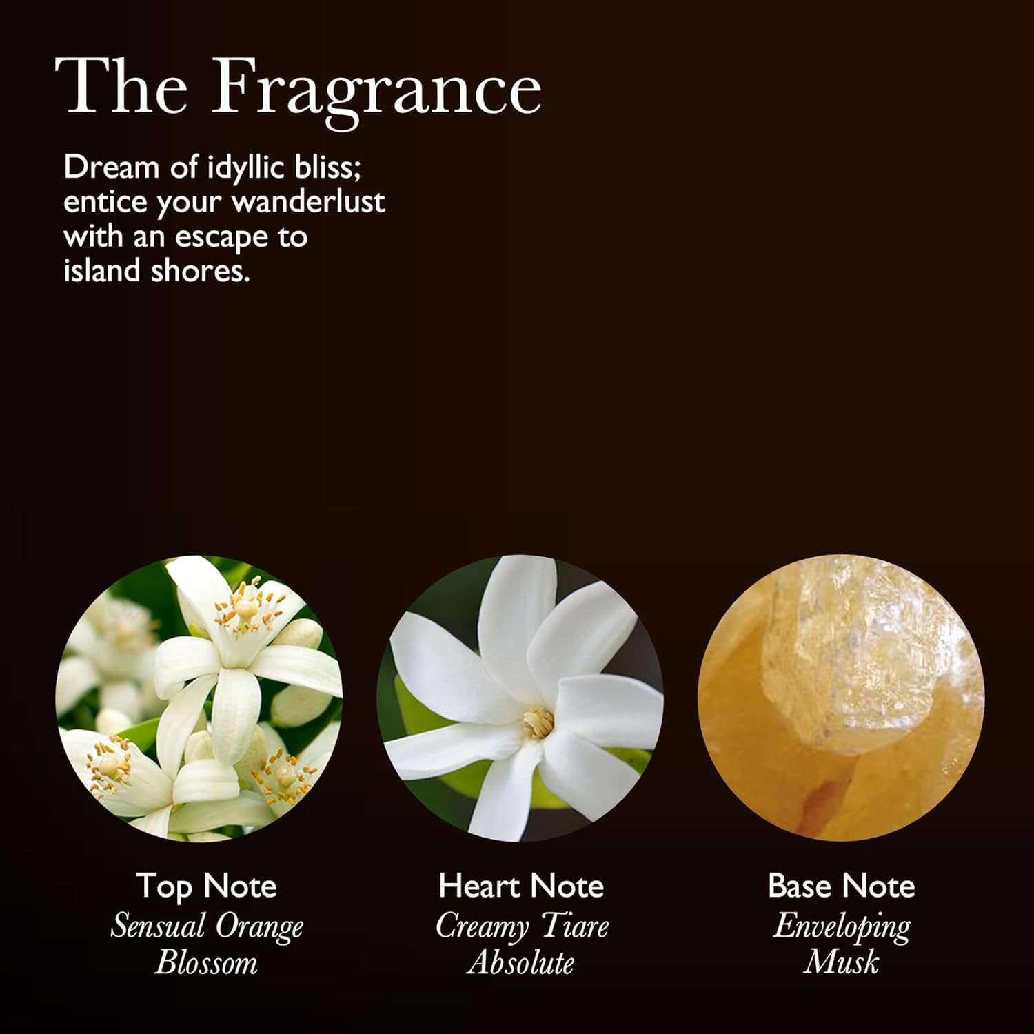 MOLTON BROWN Handseife Flora Luminare edle Handseife 300 ml, 1-tlg.