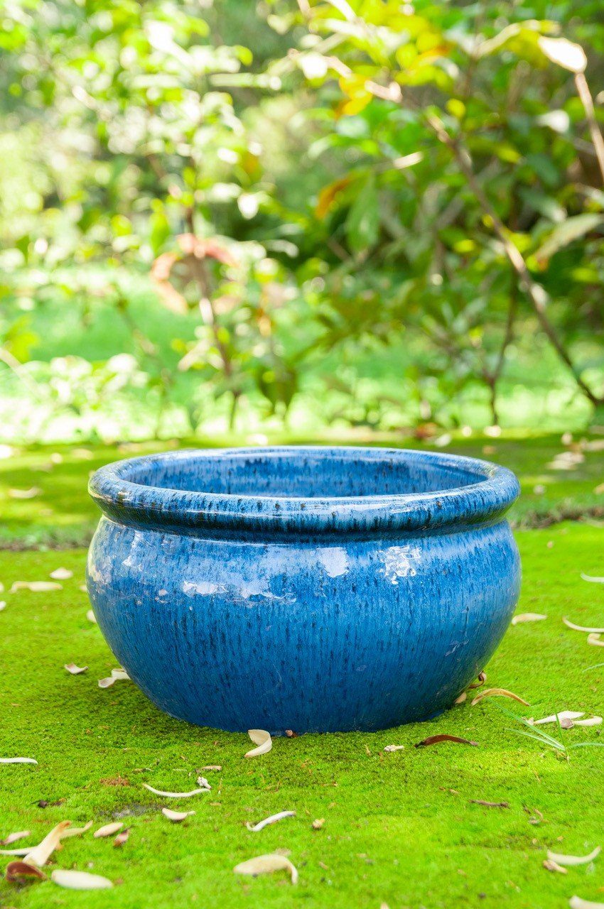 Frostfest "Evergreen" Teramico Modell Keramik 100% Royal Pflanzkübel 25cm Blau,