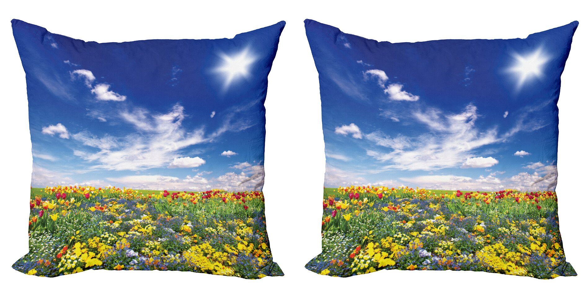 Kissenbezüge Modern Bunt Blumen Accent Himmel Digitaldruck, Doppelseitiger Abakuhaus (2 bewölkten Stück)