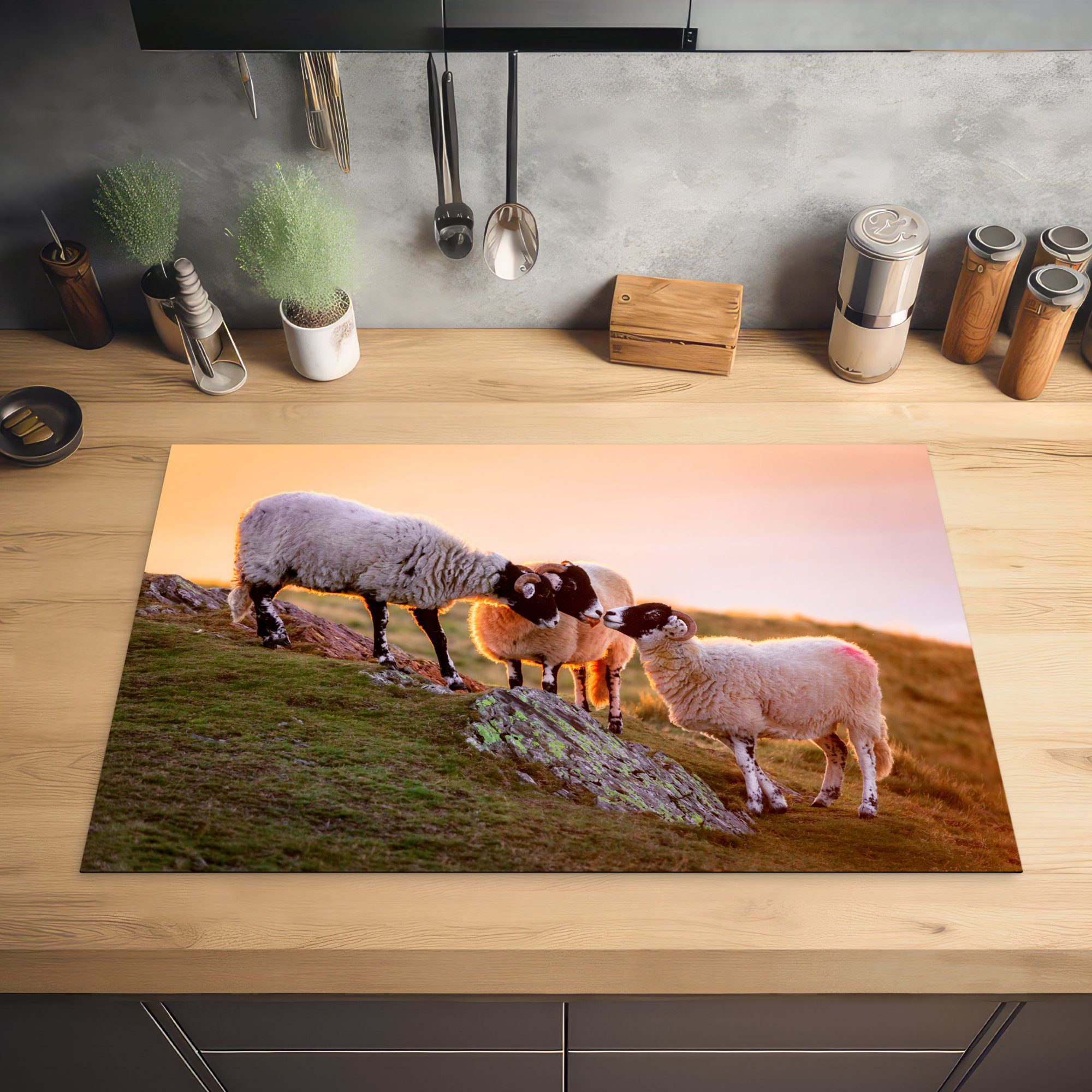 Tiere die tlg), Ceranfeldabdeckung küche, Schutz cm, - Induktionskochfeld für MuchoWow - Schafe 81x52 Herdblende-/Abdeckplatte Vinyl, (1 Sonnenuntergang,