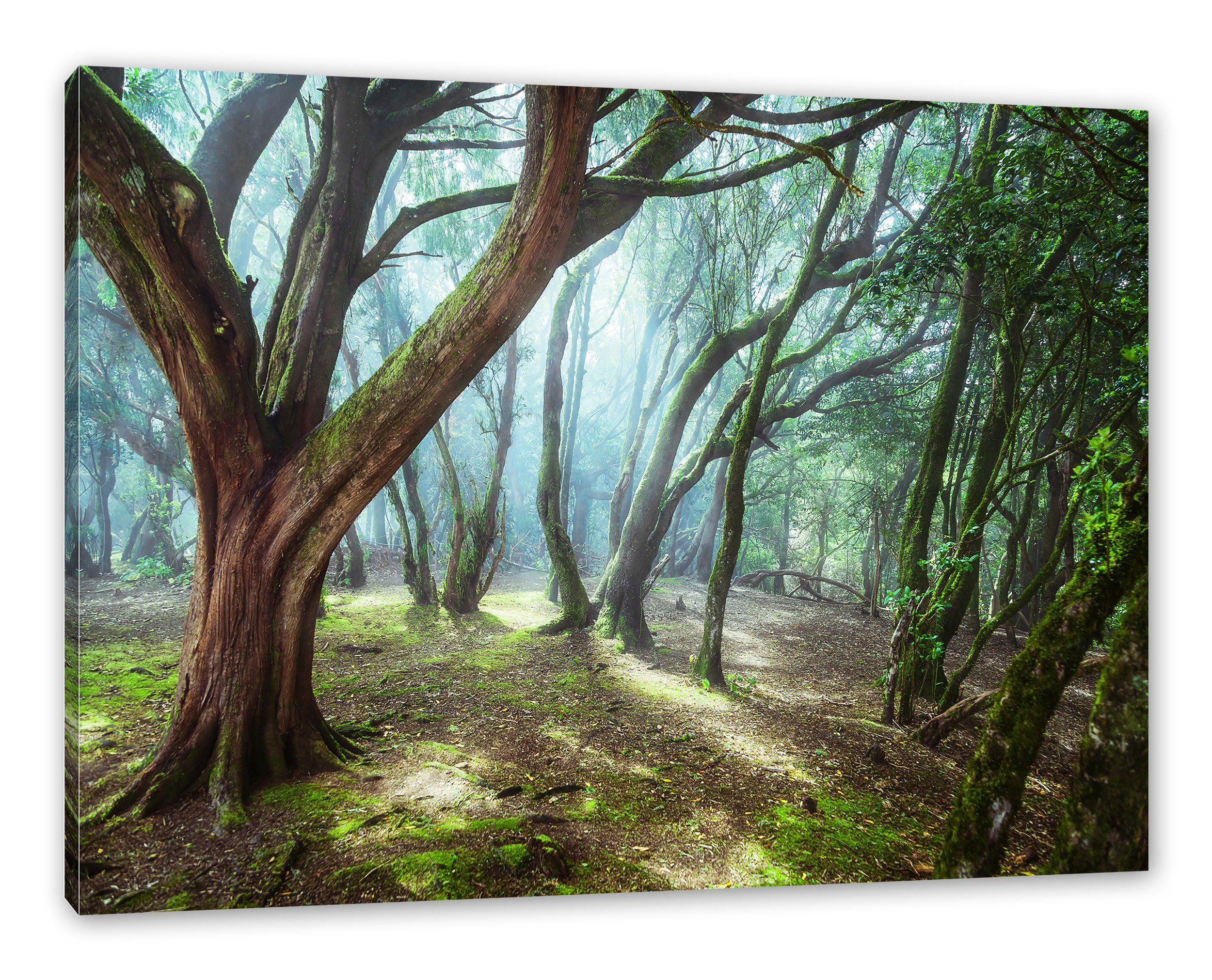 bespannt, fertig Zackenaufhänger Leinwandbild (1 inkl. Wald, St), Leinwandbild Pixxprint Wald