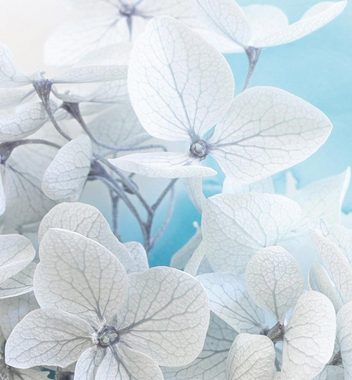 MyMaxxi Dekorationsfolie Türtapete Blühende Blumen mit blauen Wasserflecken