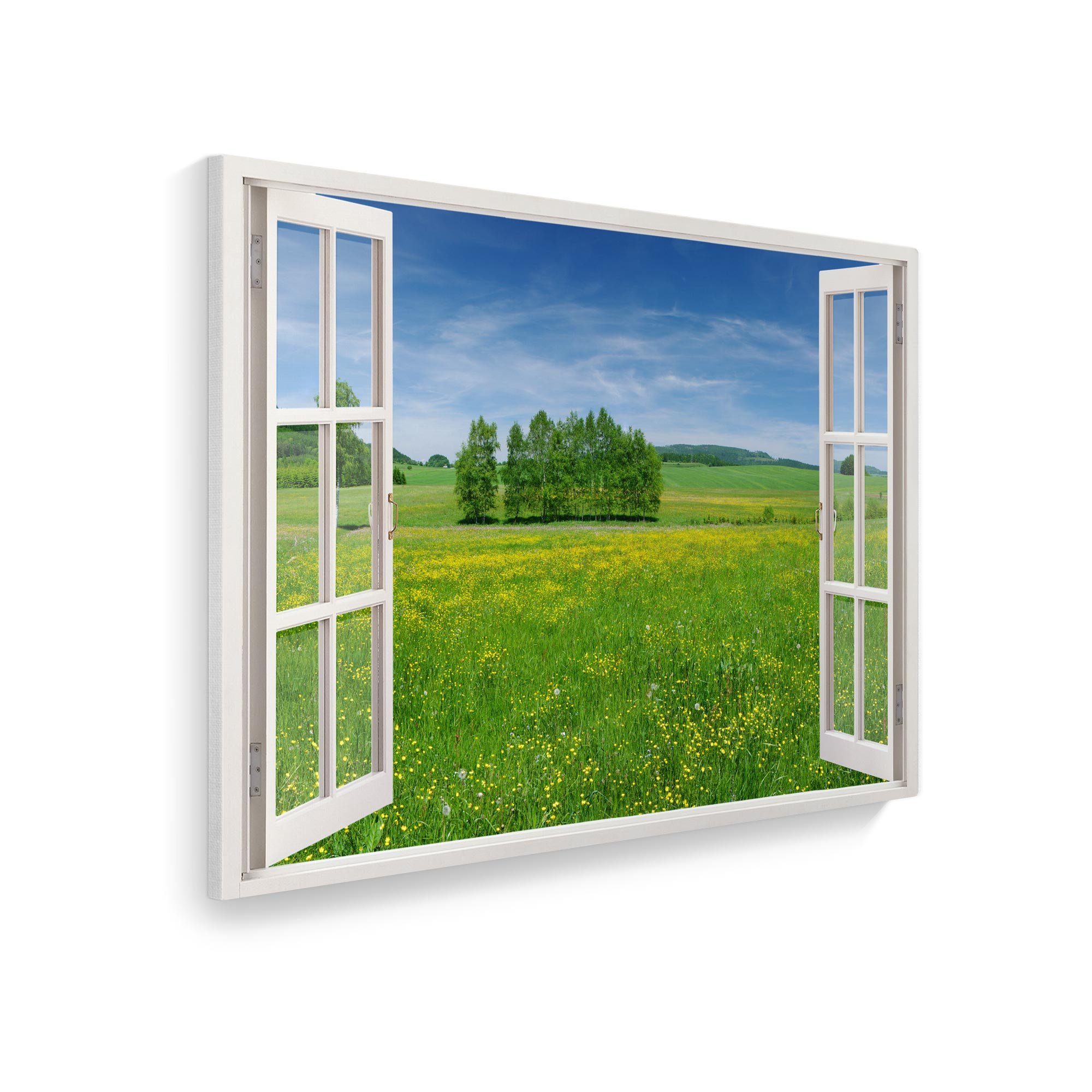 WallSpirit Leinwandbild "Fenster mit Aussicht", Wiese, günstig online kaufen