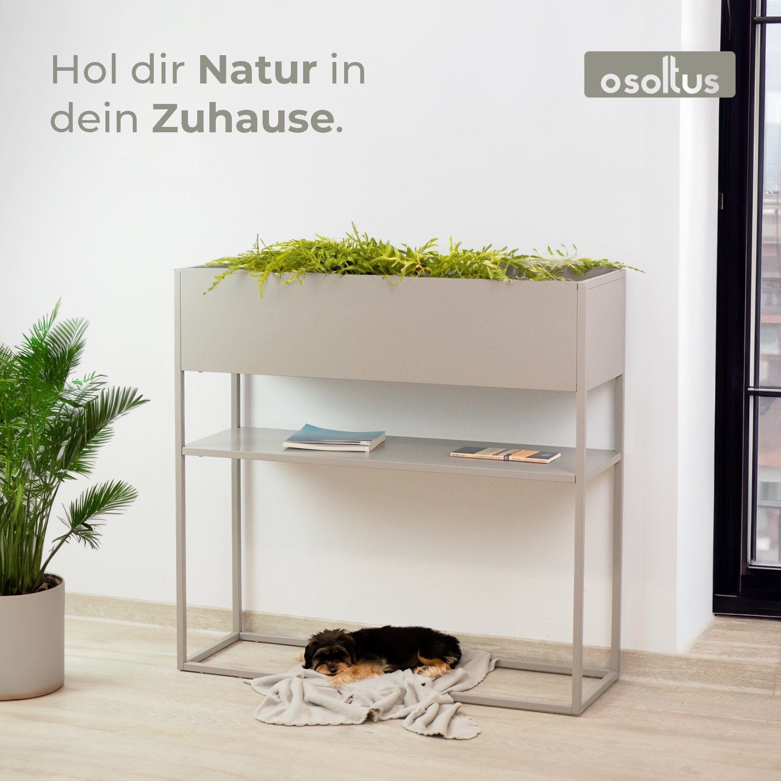 osoltus Raumteiler osoltus Pflanzkasten Raumteiler cube günstig online kaufen