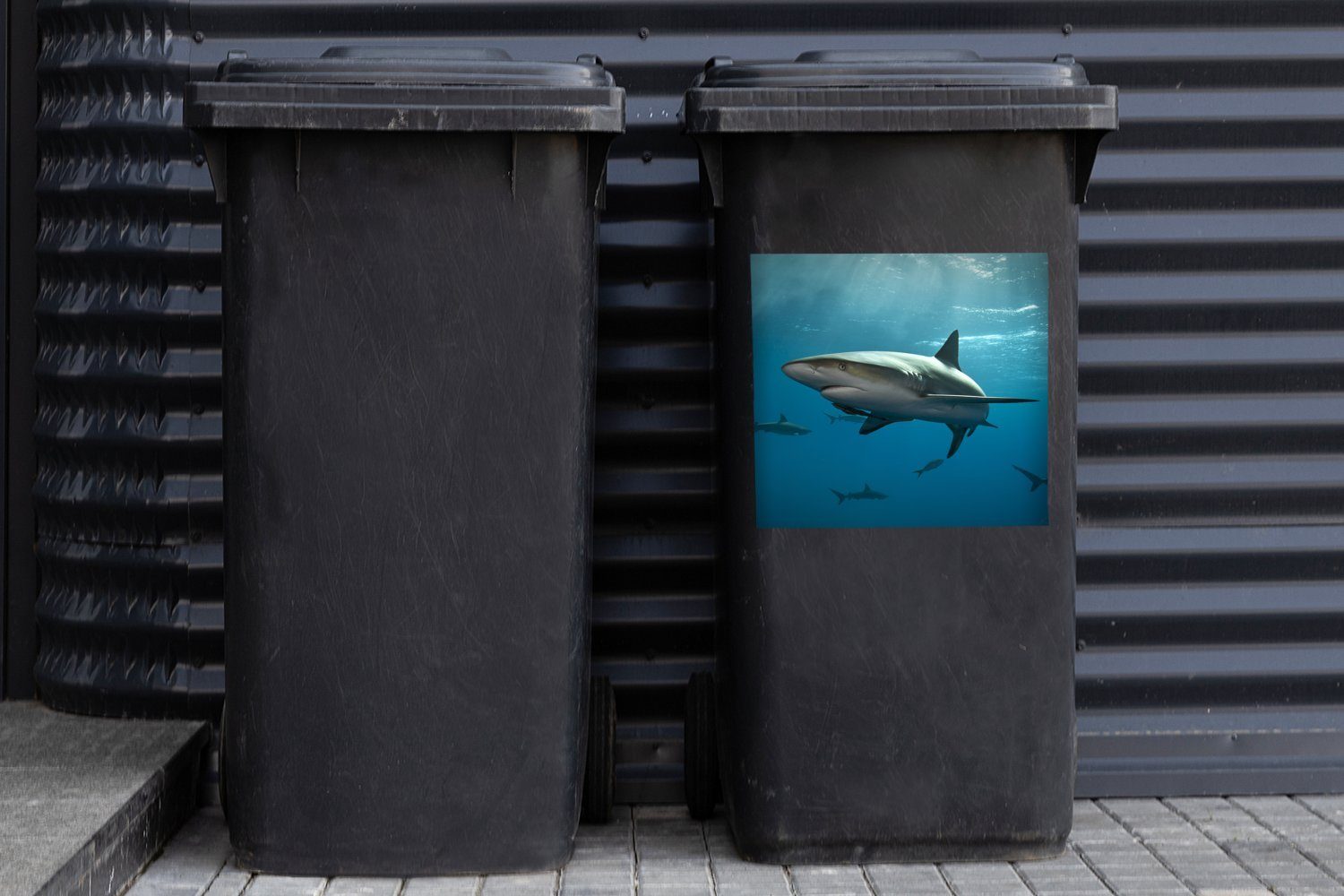 MuchoWow Wandsticker Mülleimer-aufkleber, von Mülltonne, Sticker, Gruppe Abfalbehälter Container, Haien St), (1