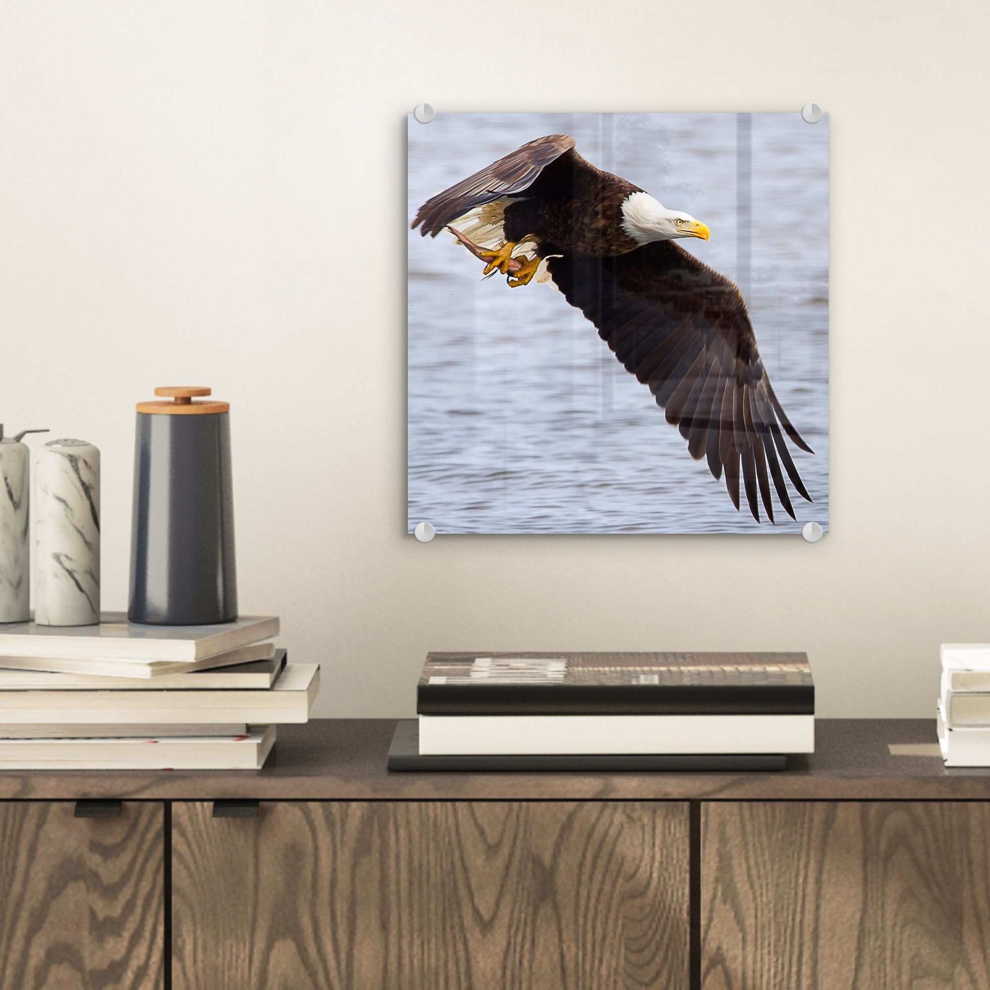 hat Glas St), Wanddekoration auf - - auf Glasbilder Bilder Biss, Wandbild MuchoWow (1 einen Foto Amerikanischer Glas Weißkopfseeadler - Acrylglasbild