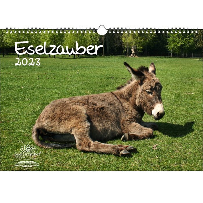 Seelenzauber Wandkalender Eselzauber DIN A3 Kalender für 2023 Esel - Seelenzauber