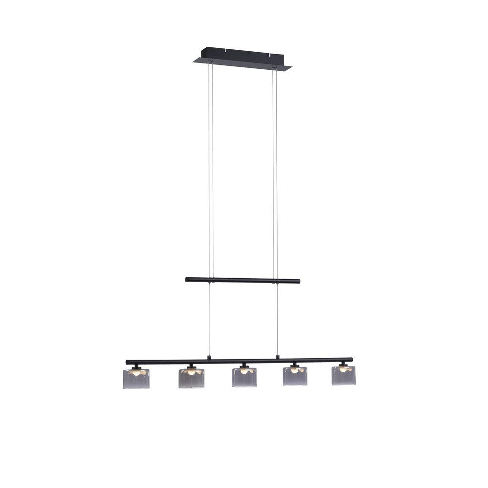 Paul Neuhaus LED Pendelleuchte LED Pendelleuchte HYDRA, höhenverstellbar, 5x LED-Board/ 4 Watt, 3000 Kelvin, höhenverstellbar, Glasschirme klassisch